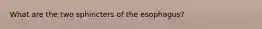 What are the two sphincters of the esophagus?