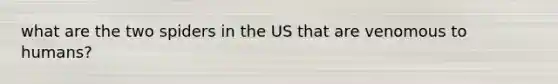what are the two spiders in the US that are venomous to humans?