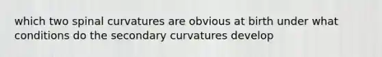 which two spinal curvatures are obvious at birth under what conditions do the secondary curvatures develop