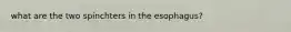 what are the two spinchters in the esophagus?