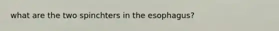 what are the two spinchters in <a href='https://www.questionai.com/knowledge/kSjVhaa9qF-the-esophagus' class='anchor-knowledge'>the esophagus</a>?