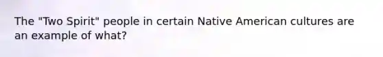 The "Two Spirit" people in certain Native American cultures are an example of what?