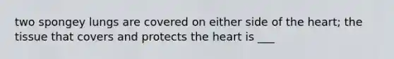two spongey lungs are covered on either side of the heart; the tissue that covers and protects the heart is ___