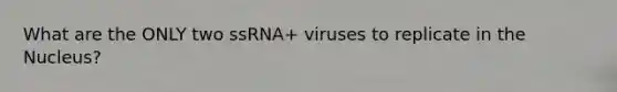 What are the ONLY two ssRNA+ viruses to replicate in the Nucleus?