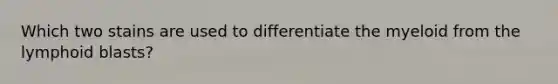 Which two stains are used to differentiate the myeloid from the lymphoid blasts?