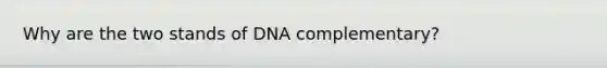 Why are the two stands of DNA complementary?