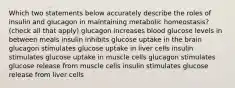 Which two statements below accurately describe the roles of insulin and glucagon in maintaining metabolic homeostasis? (check all that apply) glucagon increases blood glucose levels in between meals insulin inhibits glucose uptake in the brain glucagon stimulates glucose uptake in liver cells insulin stimulates glucose uptake in muscle cells glucagon stimulates glucose release from muscle cells insulin stimulates glucose release from liver cells