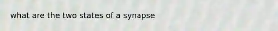 what are the two states of a synapse