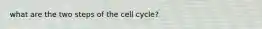 what are the two steps of the cell cycle?