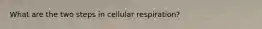 What are the two steps in cellular respiration?