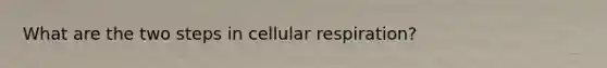 What are the two steps in cellular respiration?