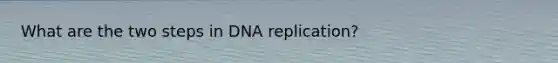 What are the two steps in DNA replication?