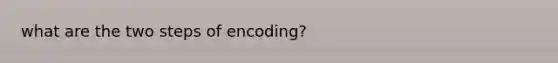 what are the two steps of encoding?