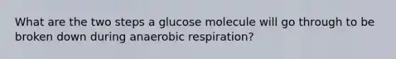 What are the two steps a glucose molecule will go through to be broken down during anaerobic respiration?