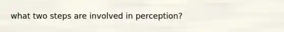 what two steps are involved in perception?