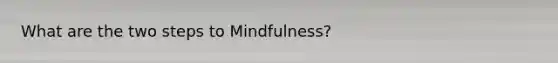 What are the two steps to Mindfulness?