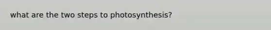 what are the two steps to photosynthesis?