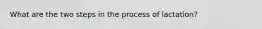 What are the two steps in the process of lactation?
