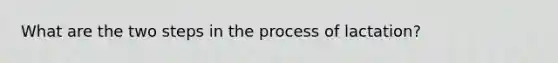 What are the two steps in the process of lactation?