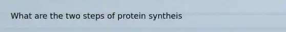 What are the two steps of protein syntheis