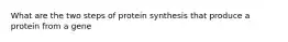 What are the two steps of protein synthesis that produce a protein from a gene