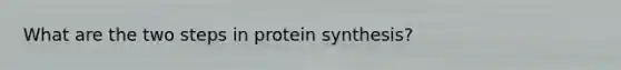 What are the two steps in protein synthesis?