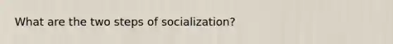 What are the two steps of socialization?