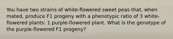 You have two strains of white-flowered sweet peas that, when mated, produce F1 progeny with a phenotypic ratio of 3 white-flowered plants: 1 purple-flowered plant. What is the genotype of the purple-flowered F1 progeny?