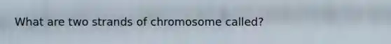 What are two strands of chromosome called?