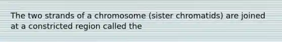 The two strands of a chromosome (sister chromatids) are joined at a constricted region called the