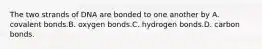 The two strands of DNA are bonded to one another by A. covalent bonds.B. oxygen bonds.C. hydrogen bonds.D. carbon bonds.