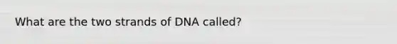 What are the two strands of DNA called?