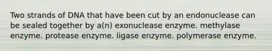 Two strands of DNA that have been cut by an endonuclease can be sealed together by a(n) exonuclease enzyme. methylase enzyme. protease enzyme. ligase enzyme. polymerase enzyme.