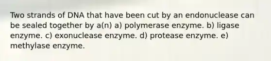 Two strands of DNA that have been cut by an endonuclease can be sealed together by a(n) a) polymerase enzyme. b) ligase enzyme. c) exonuclease enzyme. d) protease enzyme. e) methylase enzyme.