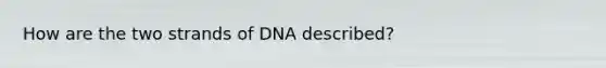 How are the two strands of DNA described?