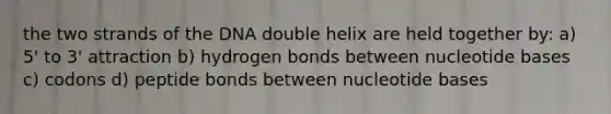 the two strands of the DNA double helix are held together by: a) 5' to 3' attraction b) hydrogen bonds between nucleotide bases c) codons d) peptide bonds between nucleotide bases