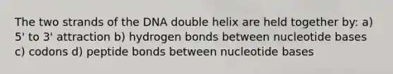 The two strands of the DNA double helix are held together by: a) 5' to 3' attraction b) hydrogen bonds between nucleotide bases c) codons d) peptide bonds between nucleotide bases