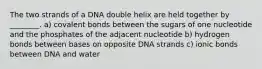 The two strands of a DNA double helix are held together by ________. a) covalent bonds between the sugars of one nucleotide and the phosphates of the adjacent nucleotide b) hydrogen bonds between bases on opposite DNA strands c) ionic bonds between DNA and water