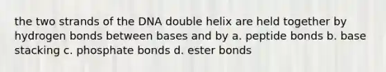 the two strands of the DNA double helix are held together by hydrogen bonds between bases and by a. peptide bonds b. base stacking c. phosphate bonds d. ester bonds