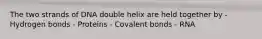 The two strands of DNA double helix are held together by - Hydrogen bonds - Proteins - Covalent bonds - RNA