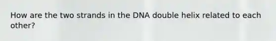 How are the two strands in the DNA double helix related to each other?