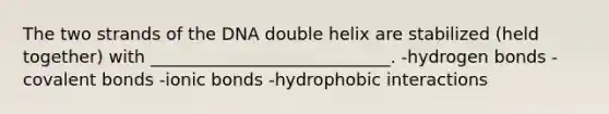 The two strands of the DNA double helix are stabilized (held together) with ____________________________. -hydrogen bonds -covalent bonds -ionic bonds -hydrophobic interactions