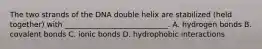 The two strands of the DNA double helix are stabilized (held together) with ____________________________. A. hydrogen bonds B. covalent bonds C. ionic bonds D. hydrophobic interactions