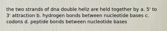 the two strands of dna double heliz are held together by a. 5' to 3' attraction b. hydrogen bonds between nucleotide bases c. codons d. peptide bonds between nucleotide bases