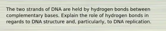 The two strands of DNA are held by hydrogen bonds between complementary bases. Explain the role of hydrogen bonds in regards to DNA structure and, particularly, to DNA replication.