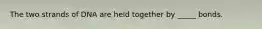 The two strands of DNA are held together by _____ bonds.