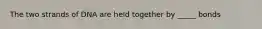 The two strands of DNA are held together by _____ bonds