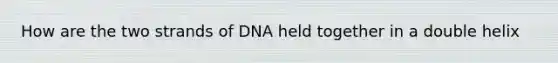 How are the two strands of DNA held together in a double helix