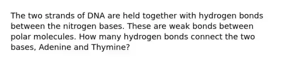 The two strands of DNA are held together with hydrogen bonds between the nitrogen bases. These are weak bonds between polar molecules. How many hydrogen bonds connect the two bases, Adenine and Thymine?