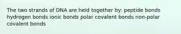 The two strands of DNA are held together by: peptide bonds hydrogen bonds ionic bonds polar covalent bonds non-polar covalent bonds